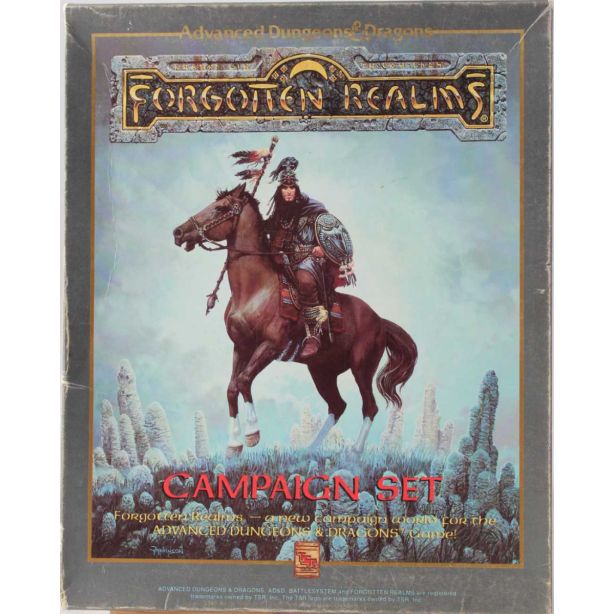 Forgotten Realms Camaign Set